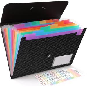 SKYDUE Expanding File Folder, Accordion File Organizer with 13 Pockets for A4/Letter Sized Paper, Accordion Folder with Labels – Document Receipt Organizer for Office, School, Home(Blak)